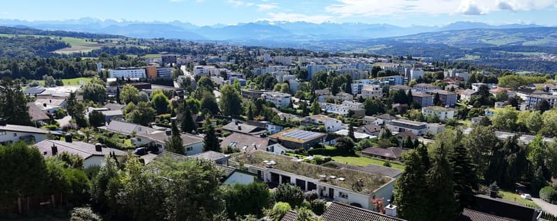 Aerial view of a town with many houses, trees, and mountains in the background