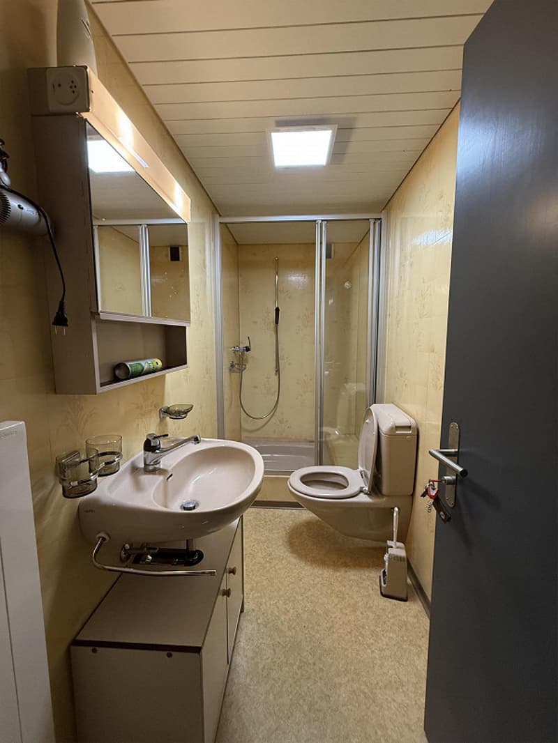 Compact bathroom with a sink, toilet, shower enclosure, and a mirror.