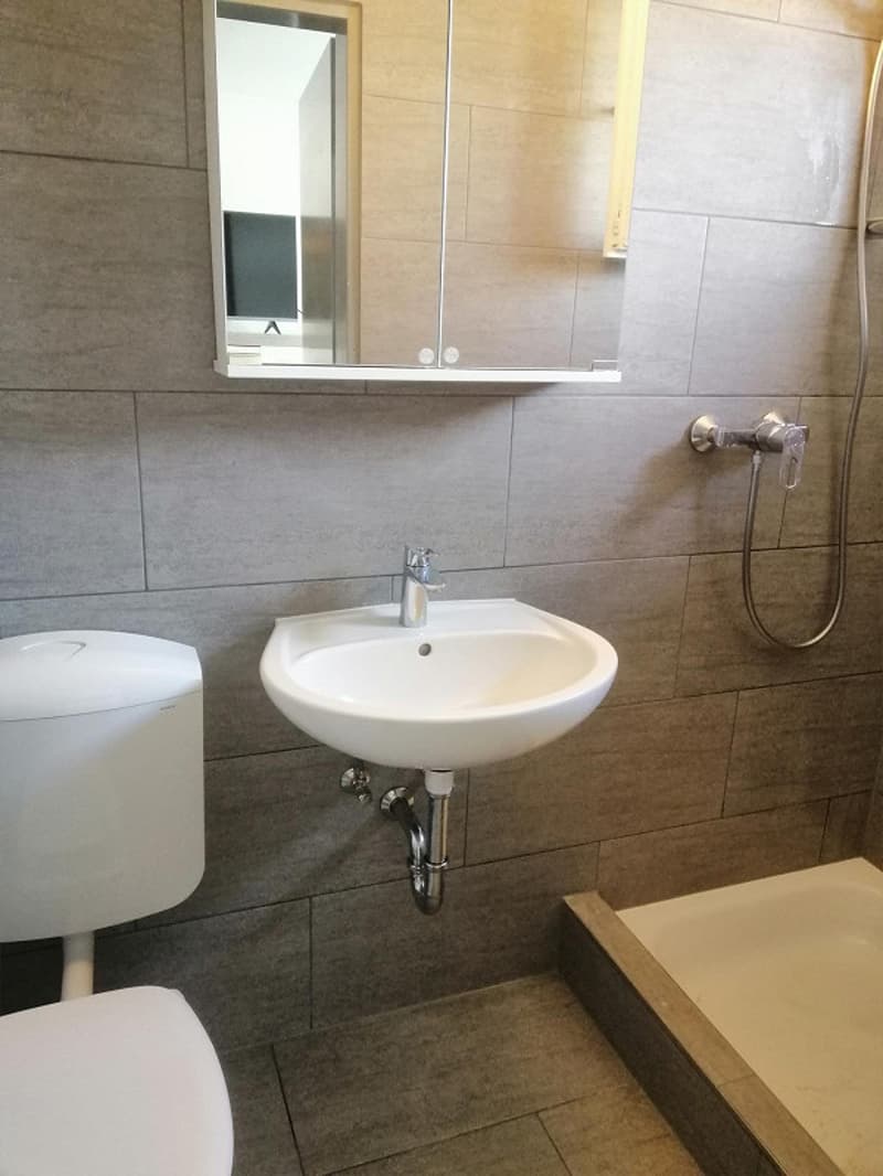 modern bathroom with sink, shower, and toilet