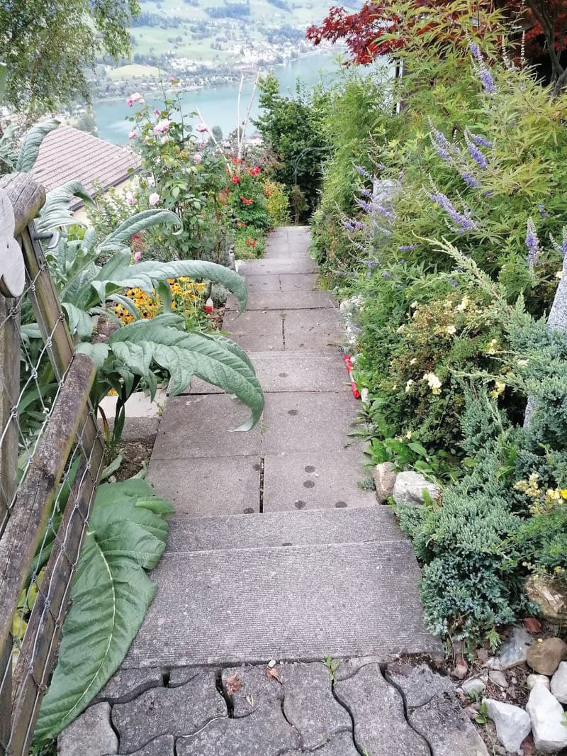 Garden with a variety of plants, flowers, and shrubs, concrete pathway, lake view