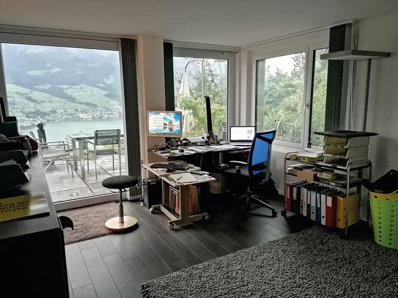 office with desk, computer, chair, rug, shelves, balcony with table and chairs, lake view