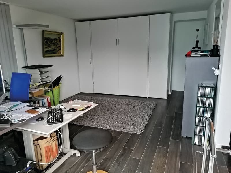 desk, chair, rug, cabinets, shelves, picture, speaker