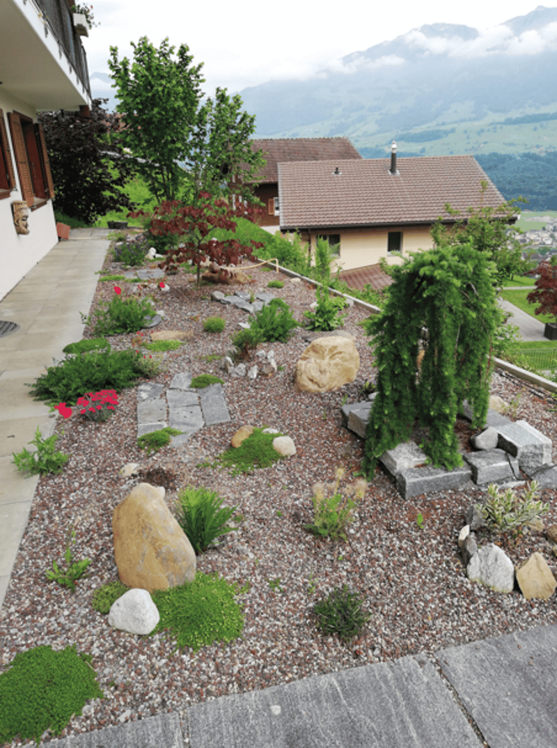 rocks, plants, flowers, paved pathway, mountain view