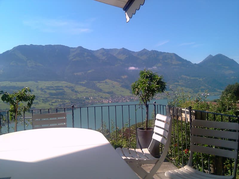 balcony with table and chairs, black railing, potted plants, lake and mountains in the background