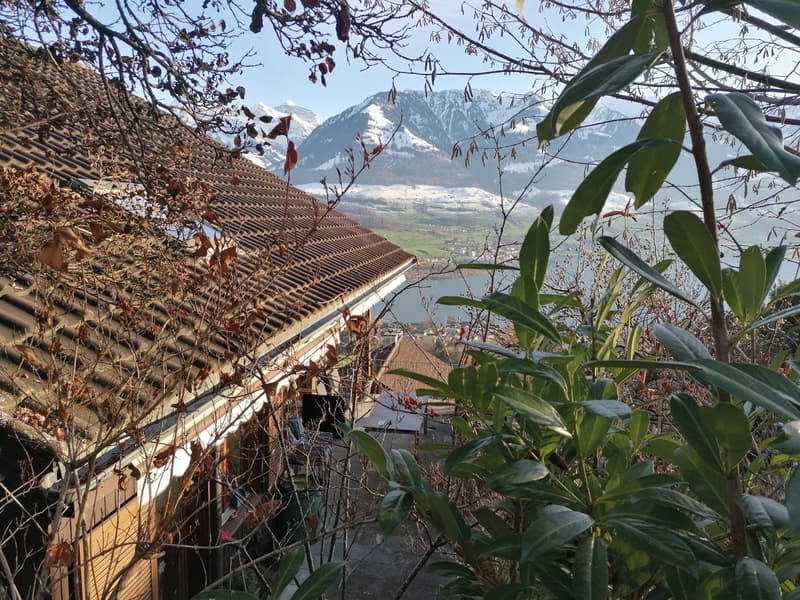 wooden house, brown roof, glass window, snowy mountain in the background