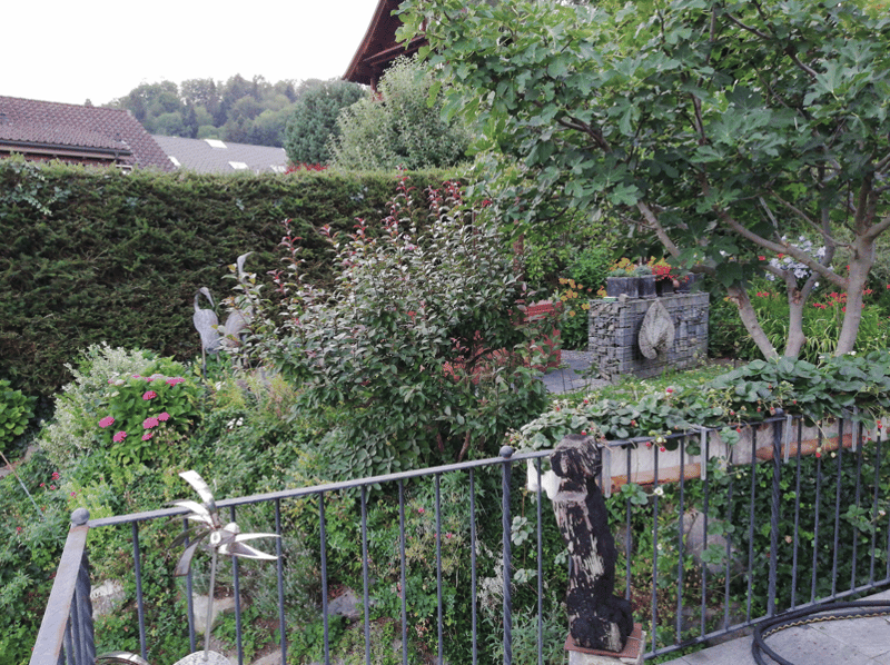 Garden with various plants, flowers, and a small stone wall, a metal fence, and a view of the surrounding area