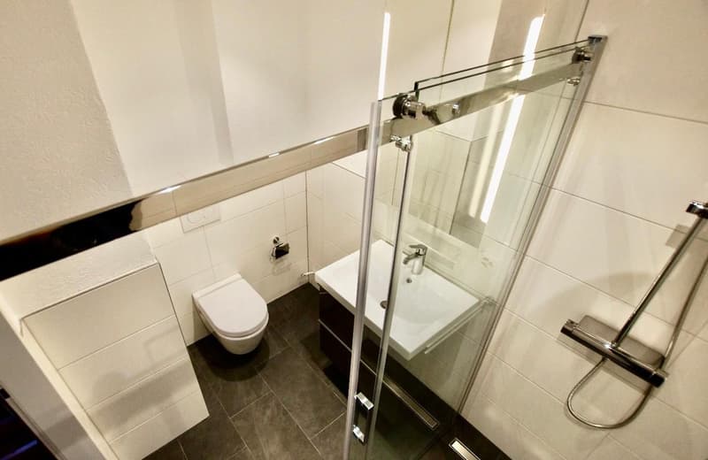 modern bathroom with white tiles, glass shower, white sink, white toilet, silver shower head