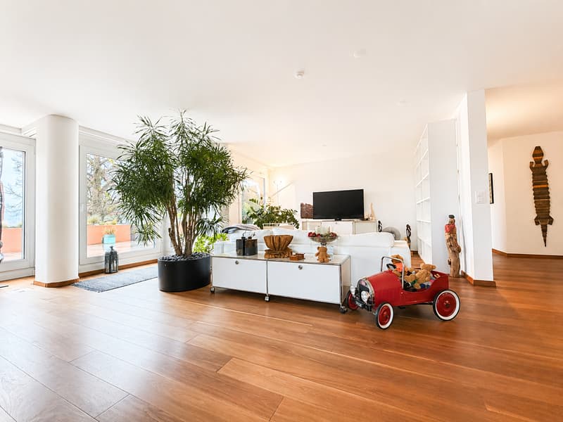 Appartamento in terrazza attraente di 5,5 locali con una vista lago meravigliosa (3)