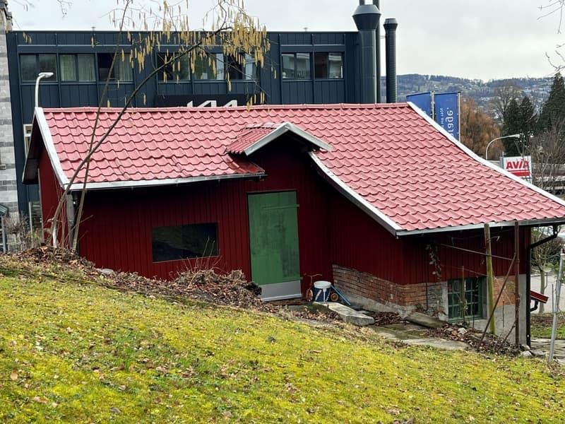 Vielseitiger Gewerberaum mit Atelier-Charakter in Au ZH (2)