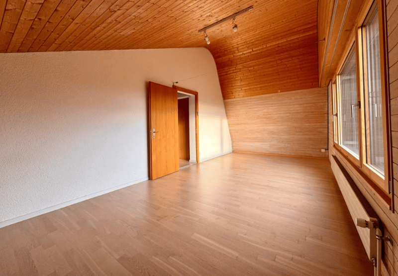 Espaces T de pratique dans une grande maison verte et centrale (3)