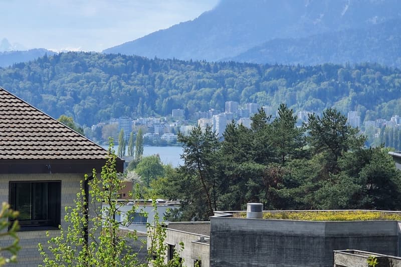 Living where Lucerne is most beautiful - 1.5 room apartment with potential (3)