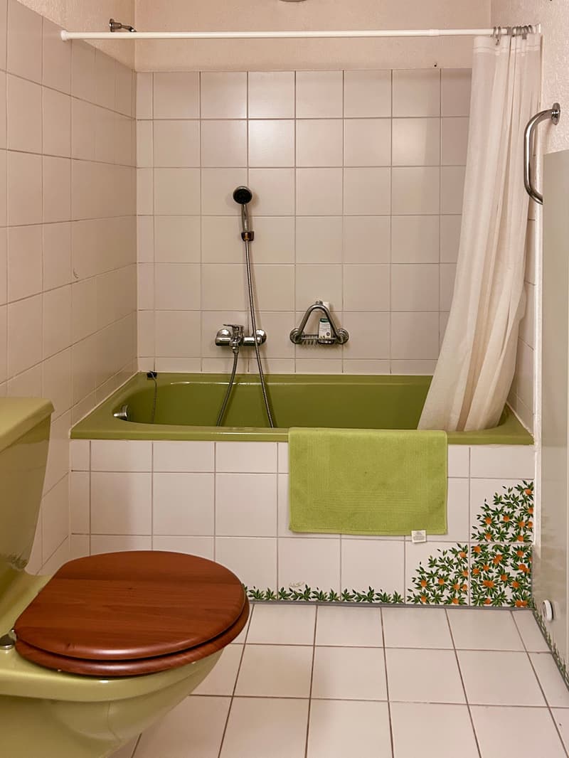 Apartment 2.5 rooms ground floor (11)