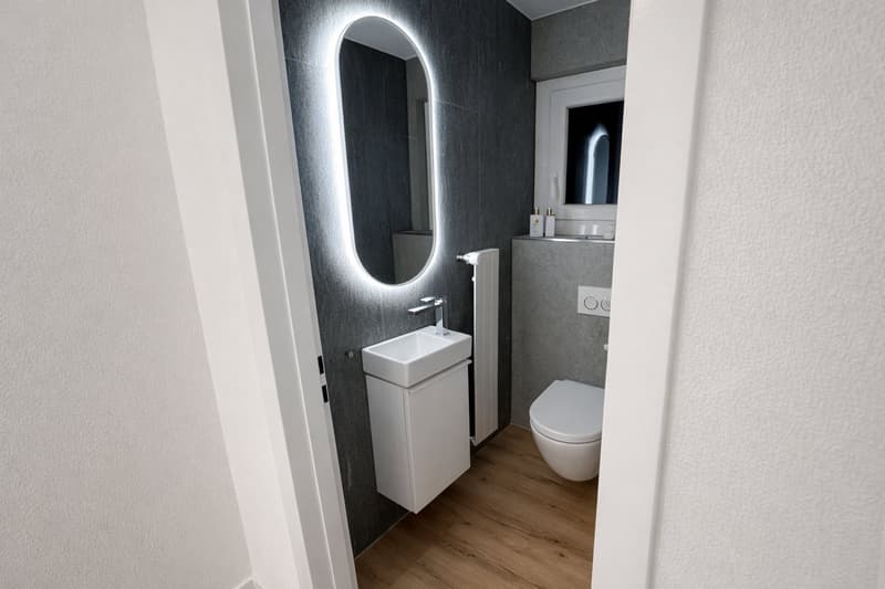 Appartement de 4,5 pièces rénové récemment, ensoleillé avec vue sur le lac et jardin privé (4)