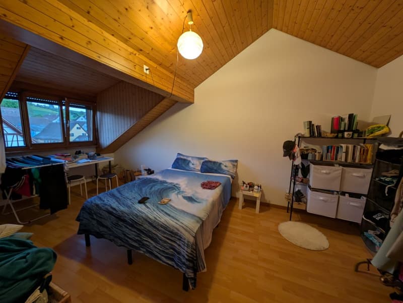 Delizioso appartamento di 3,5 locali in mansarda a Schleitheim (3)