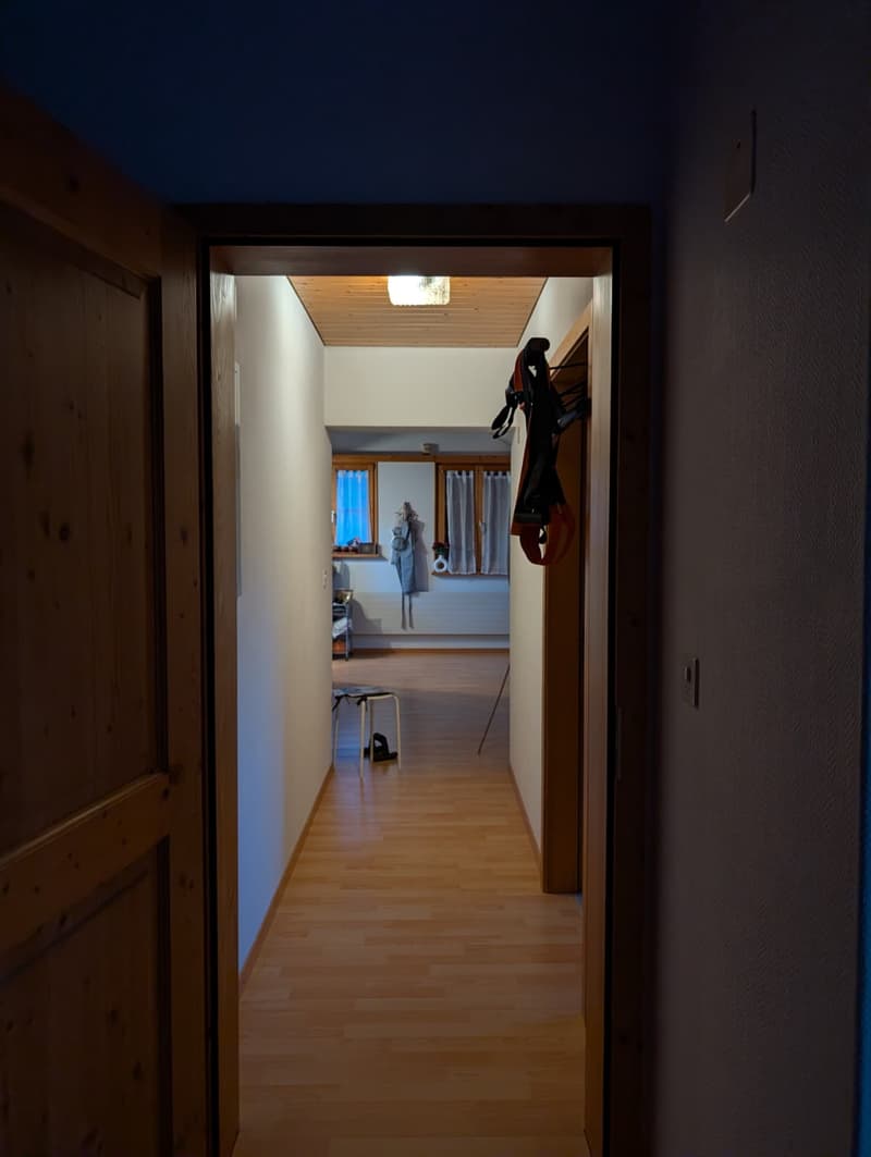 Delizioso appartamento di 3,5 locali in mansarda a Schleitheim (2)