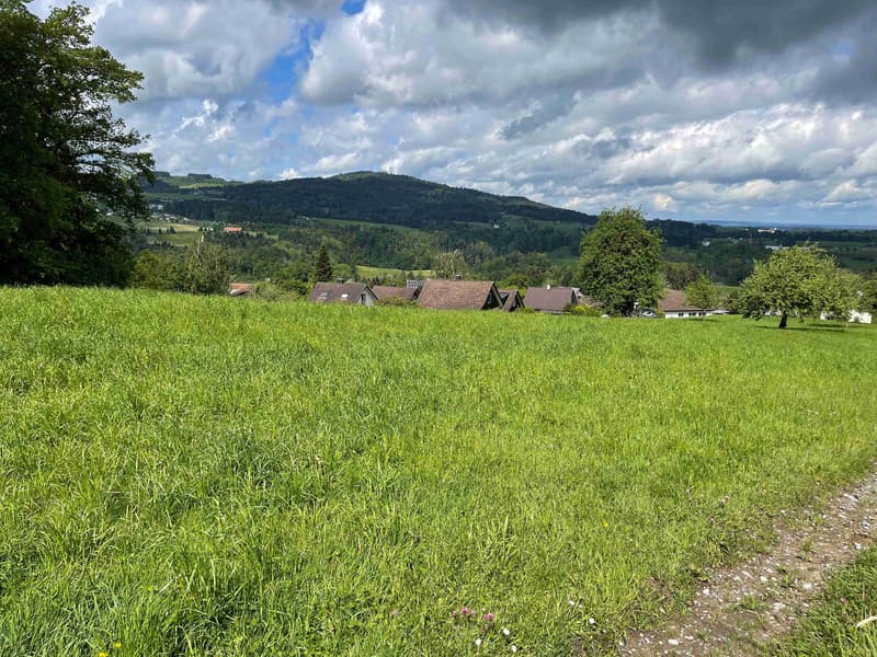 Dreamlike building land in the midst of nature in Wittenbach (6)