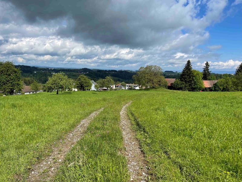 Dreamlike building land in the midst of nature in Wittenbach (1)