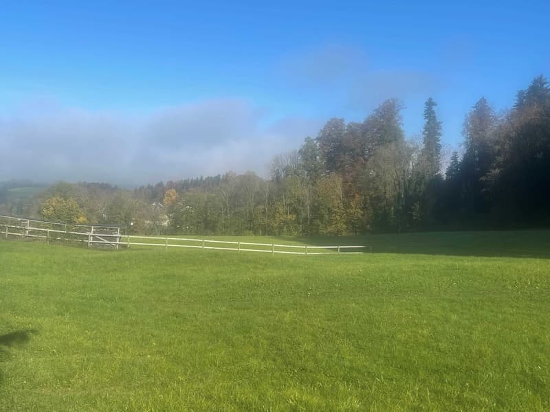 Dreamlike building land in the midst of nature in Wittenbach (5)
