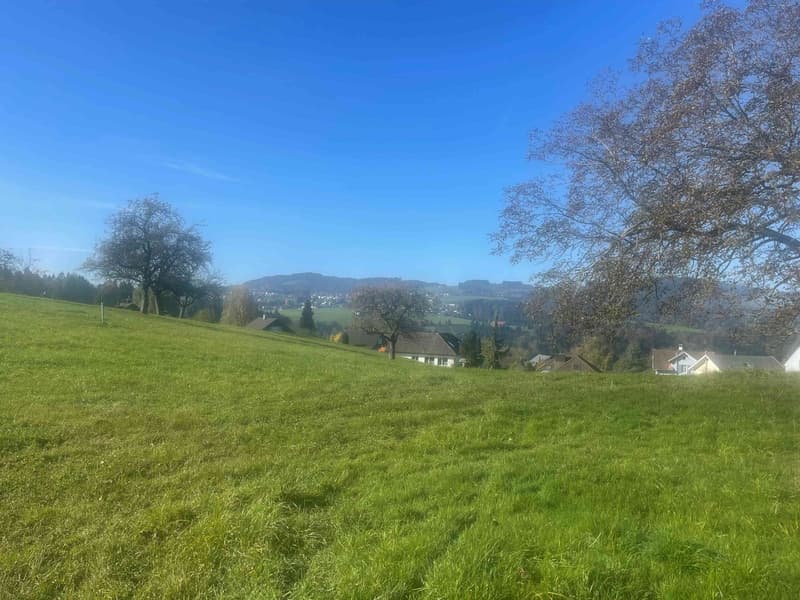Dreamlike building land in the midst of nature in Wittenbach (7)