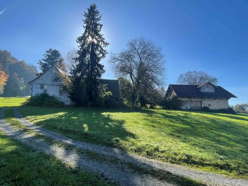 Dreamlike building land in the midst of nature in Wittenbach (3)