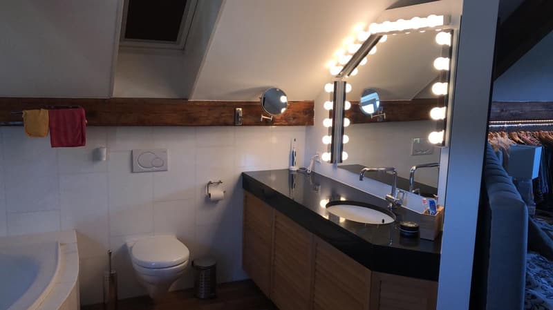 Loft in Uetikon am See (14)