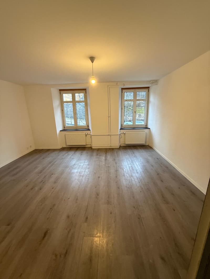 4 renovated apartments – Hôtel-de-Ville 48 (8)