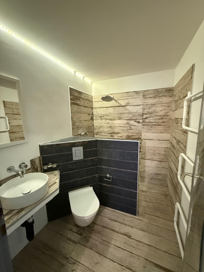 4 renovated apartments – Hôtel-de-Ville 48 (7)