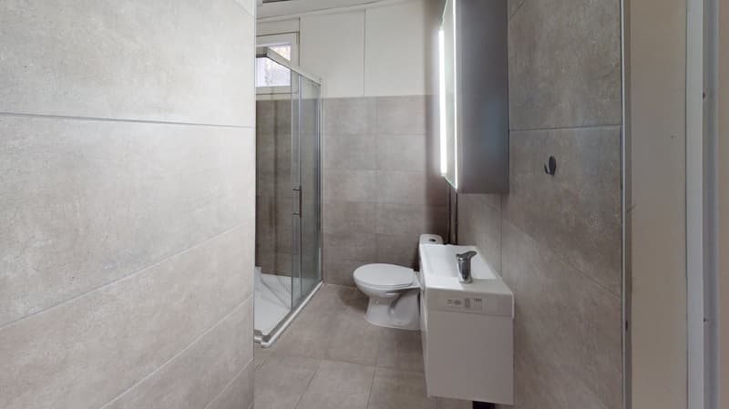 4 renovated apartments – Hôtel-de-Ville 48 (9)