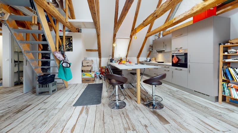 4 renovated apartments – Hôtel-de-Ville 48 (3)