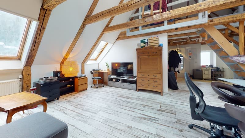 4 renovated apartments – Hôtel-de-Ville 48 (10)