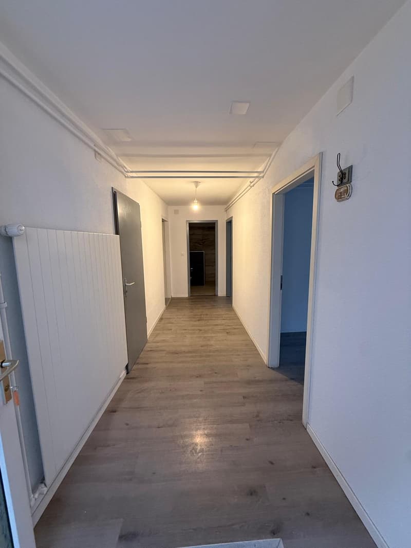 4 renovated apartments – Hôtel-de-Ville 48 (5)