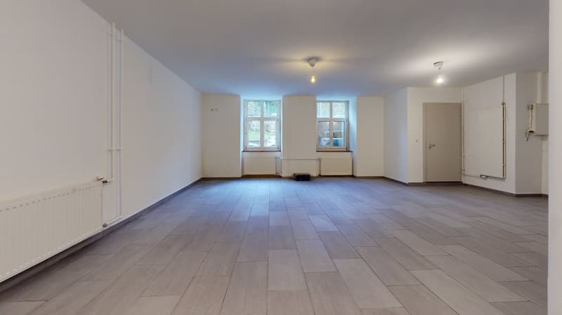 4 renovated apartments – Hôtel-de-Ville 48 (11)