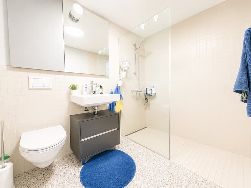 Modern 2.5-room apartment on Birmensdorferstrasse in Zürich-Wiedikon (6)