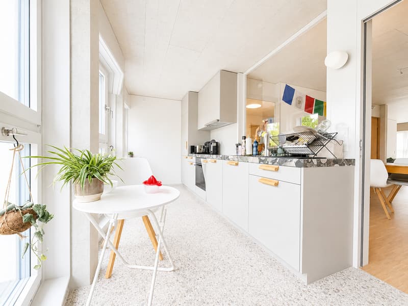 Modern 2.5-room apartment on Birmensdorferstrasse in Zürich-Wiedikon (2)