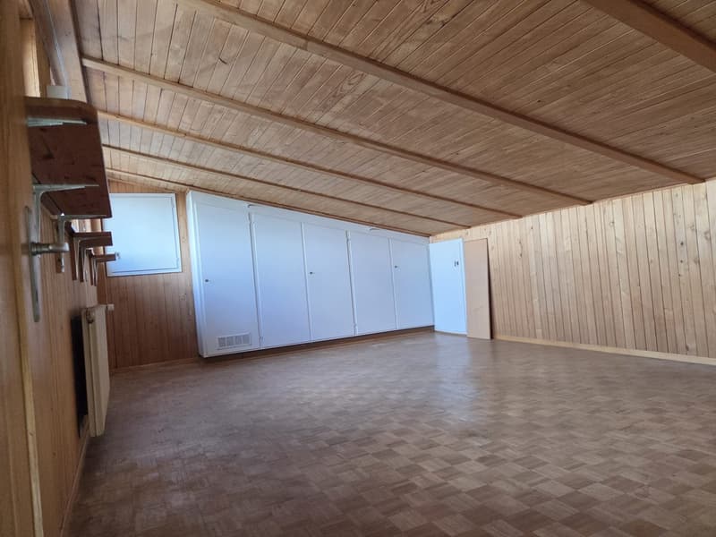 Detached 6.5-room single-family house with winter garden in Schalunen (13)