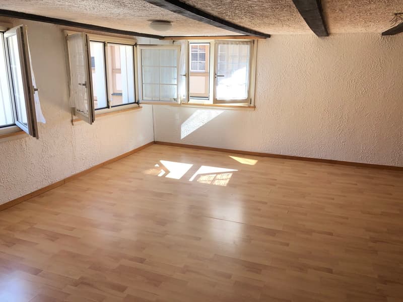 Grand appartement 4,5 pièces (3)
