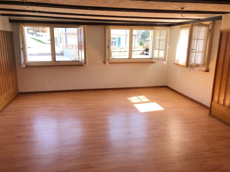 Grand appartement 4,5 pièces (7)