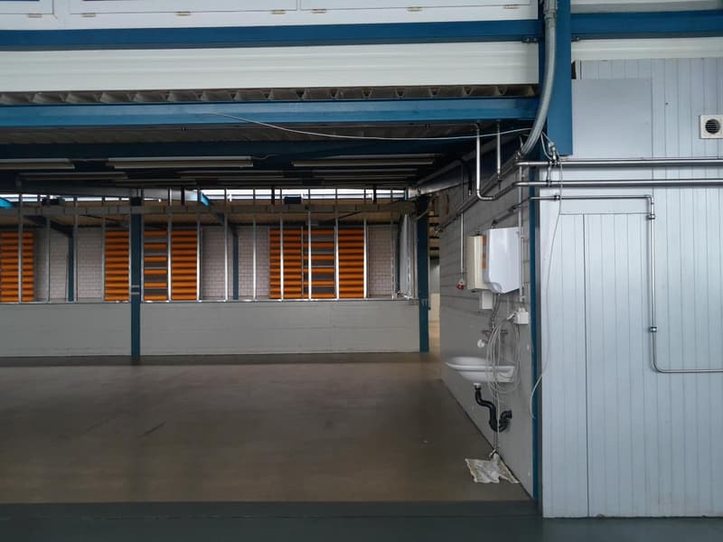Spazio commerciale versatile a Wetzikon con collegamento stradale ottimale (4)