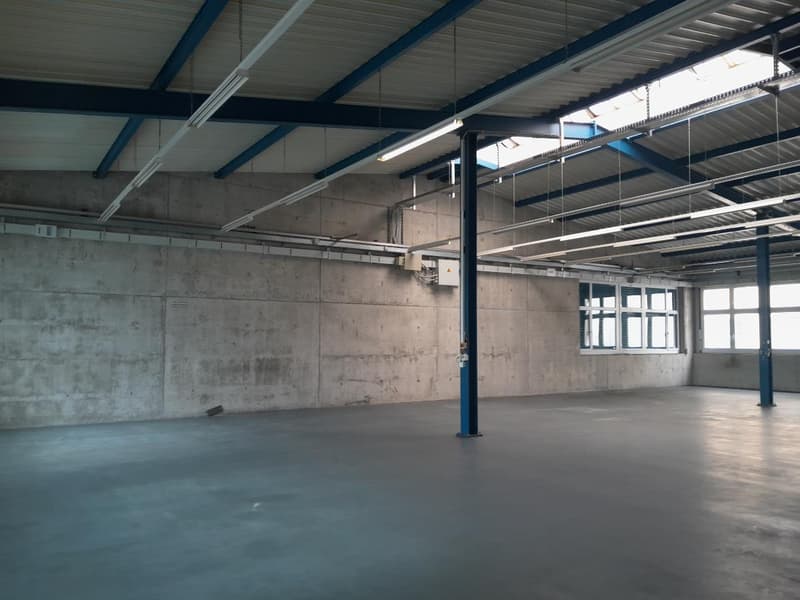 Spazio commerciale versatile a Wetzikon con collegamento stradale ottimale (3)