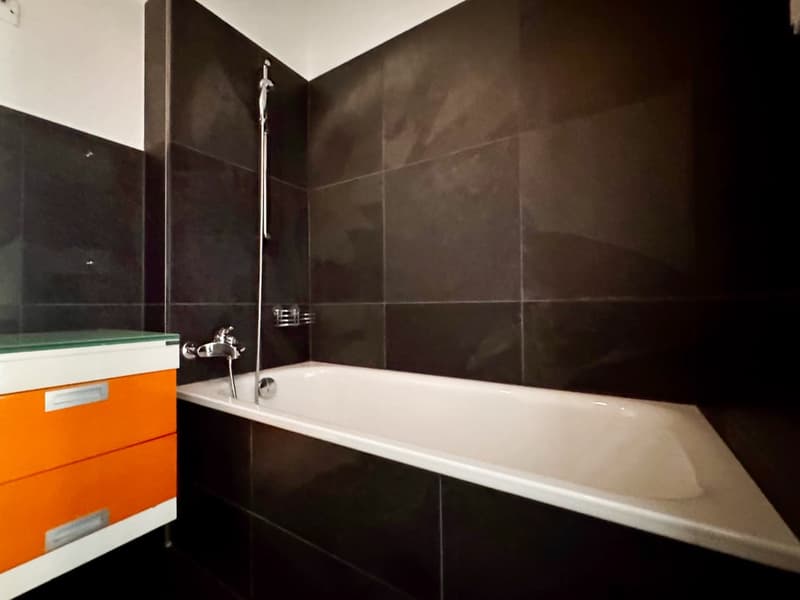 Superbe appartement 5 pièces dans un quartier calme (4)