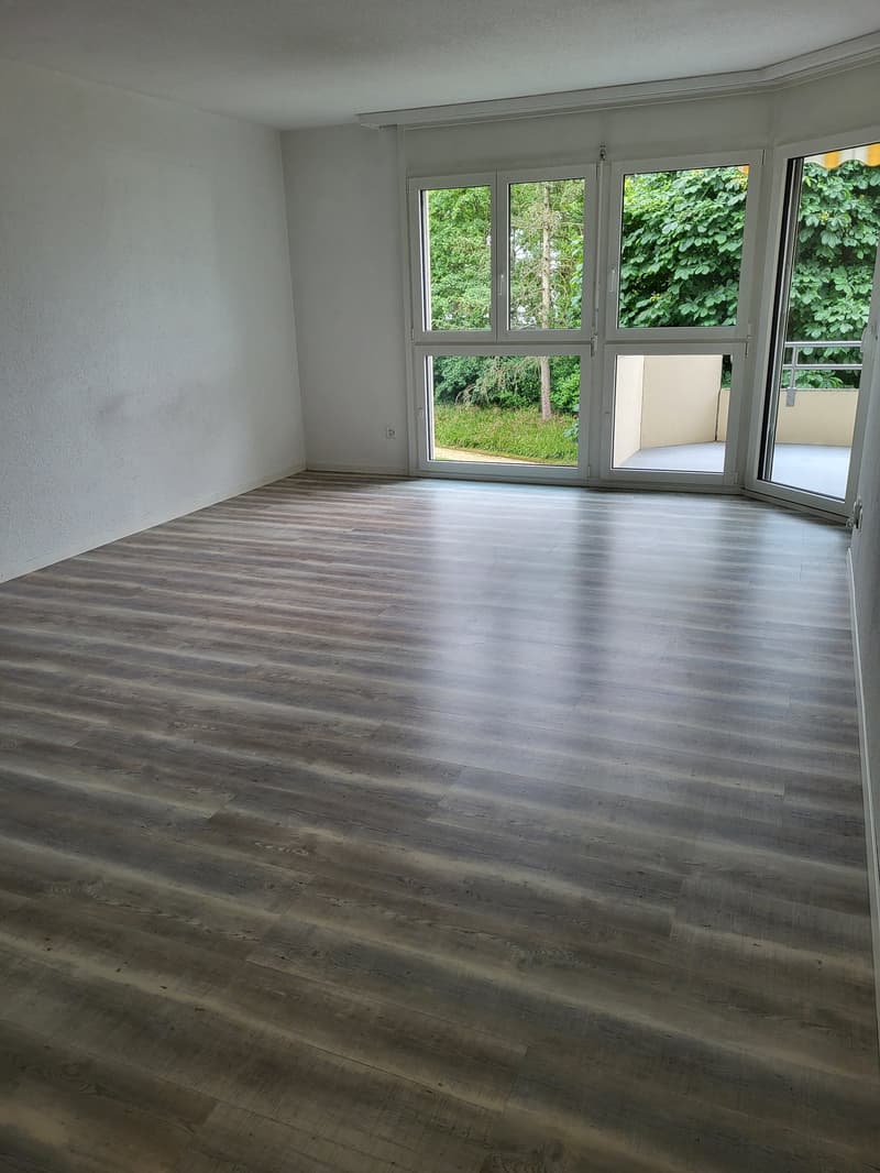 Appartamento luminoso 3.5 locali con balcone e ottima connessione ai trasporti pubblici (2)