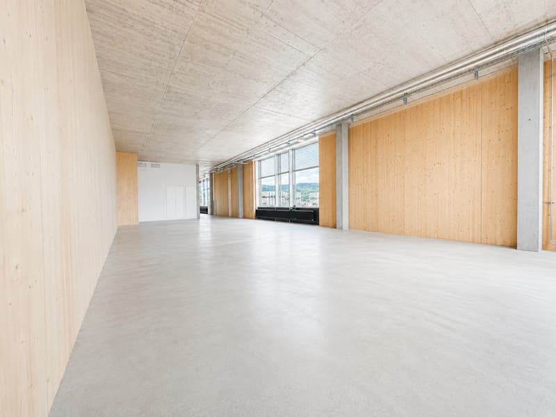 Ufficio moderno con terrazza e vista panoramica a Zürich-Albisrieden (2)