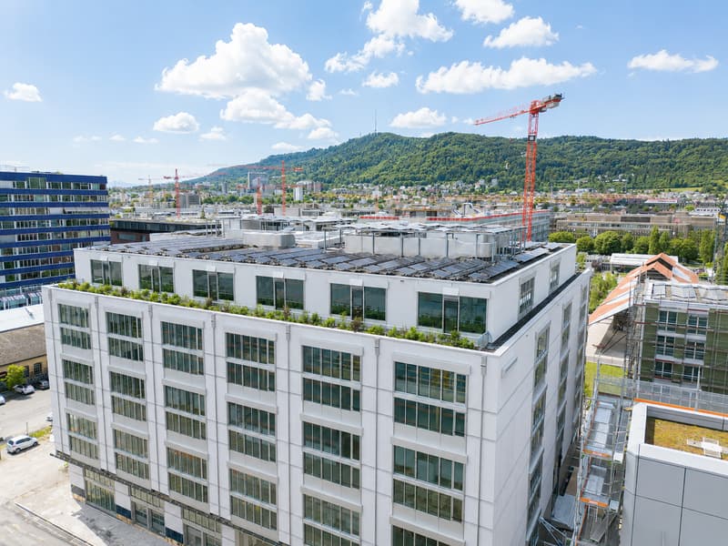 Ufficio moderno con terrazza e vista panoramica a Zürich-Albisrieden (4)