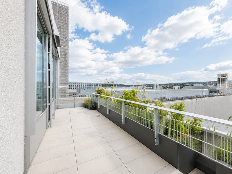 Ufficio moderno con terrazza e vista panoramica a Zürich-Albisrieden (3)