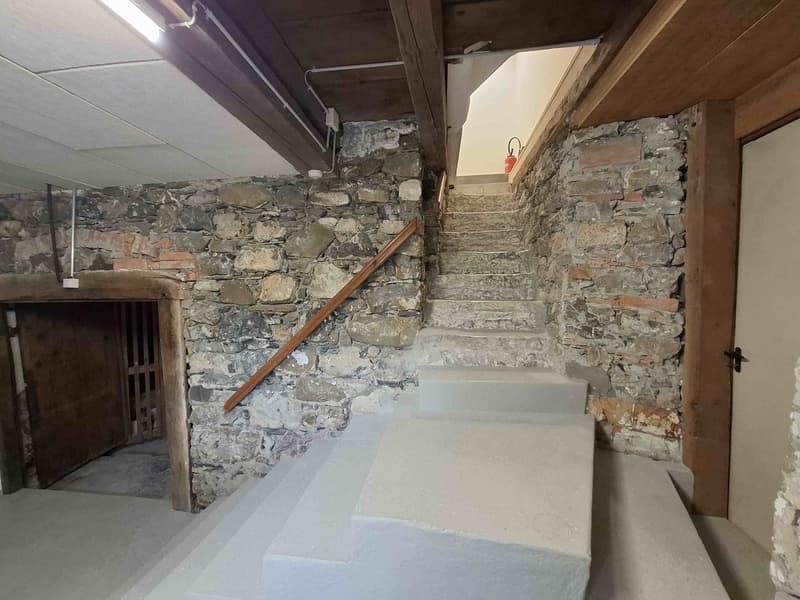Charming 3.5-room semi-detached house in Oberriet – available immediately! (14)