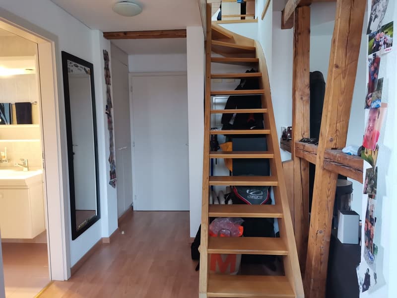 Appartement maisonnette 2.5 pièces avec terrasse sur le toit (1)