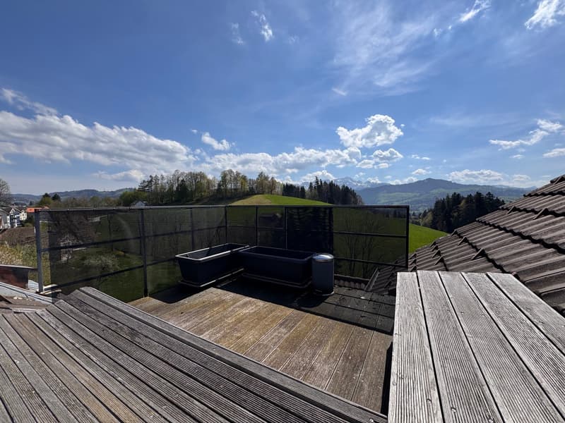 Appartement maisonnette 2.5 pièces avec terrasse sur le toit (7)