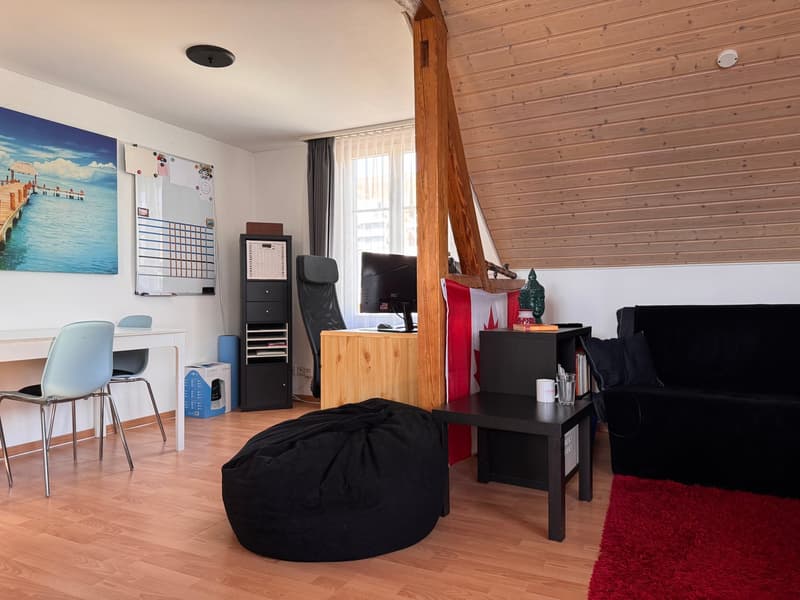 Appartement maisonnette 2.5 pièces avec terrasse sur le toit (3)