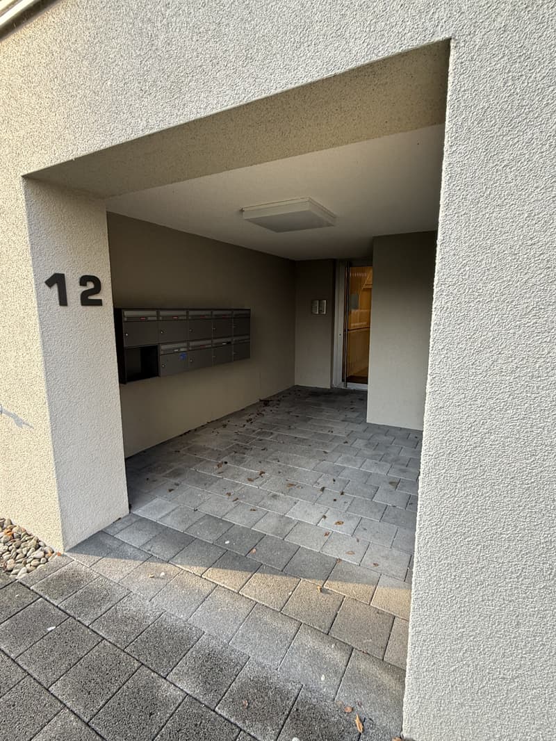 Spacious attic apartment in a quiet residential area (3)