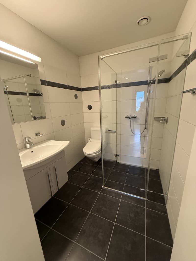 Spacious attic apartment in a quiet residential area (18)